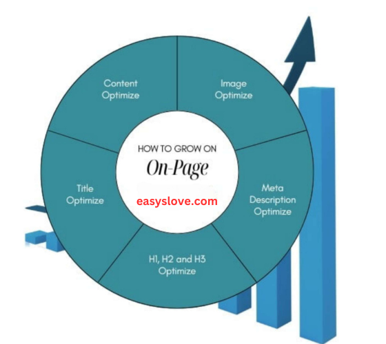 Best On-Page SEO Website Optimization for Higher Rankings